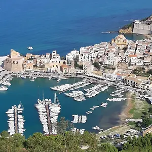 Maui Alcamo