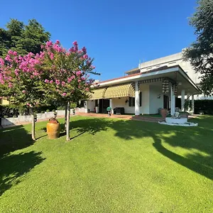 Vitti's Gasthof Verona